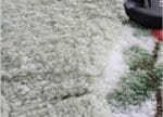 Tapis Rond Vert Menthe